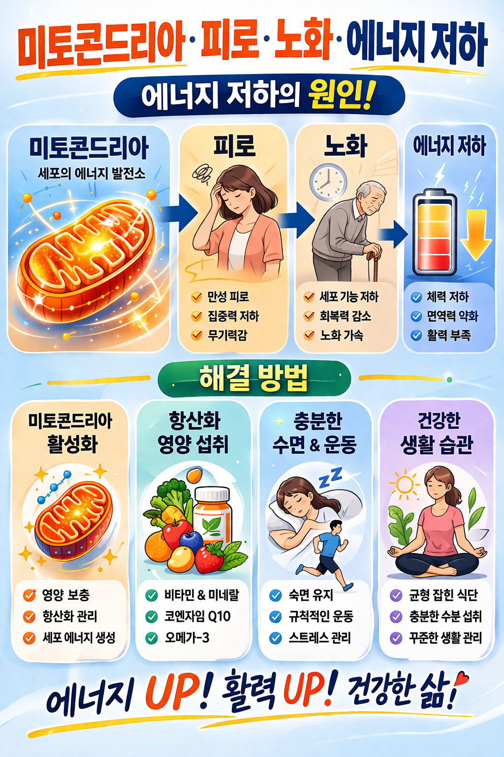 미토콘드리아 노화 만성 피로 &mdash; ATP 생산 저하 활성산소 증가