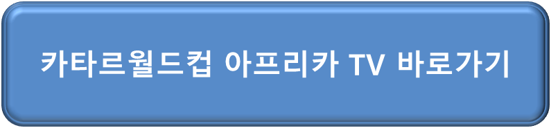 카타르 월드컵 아프리카 TV 바로가기