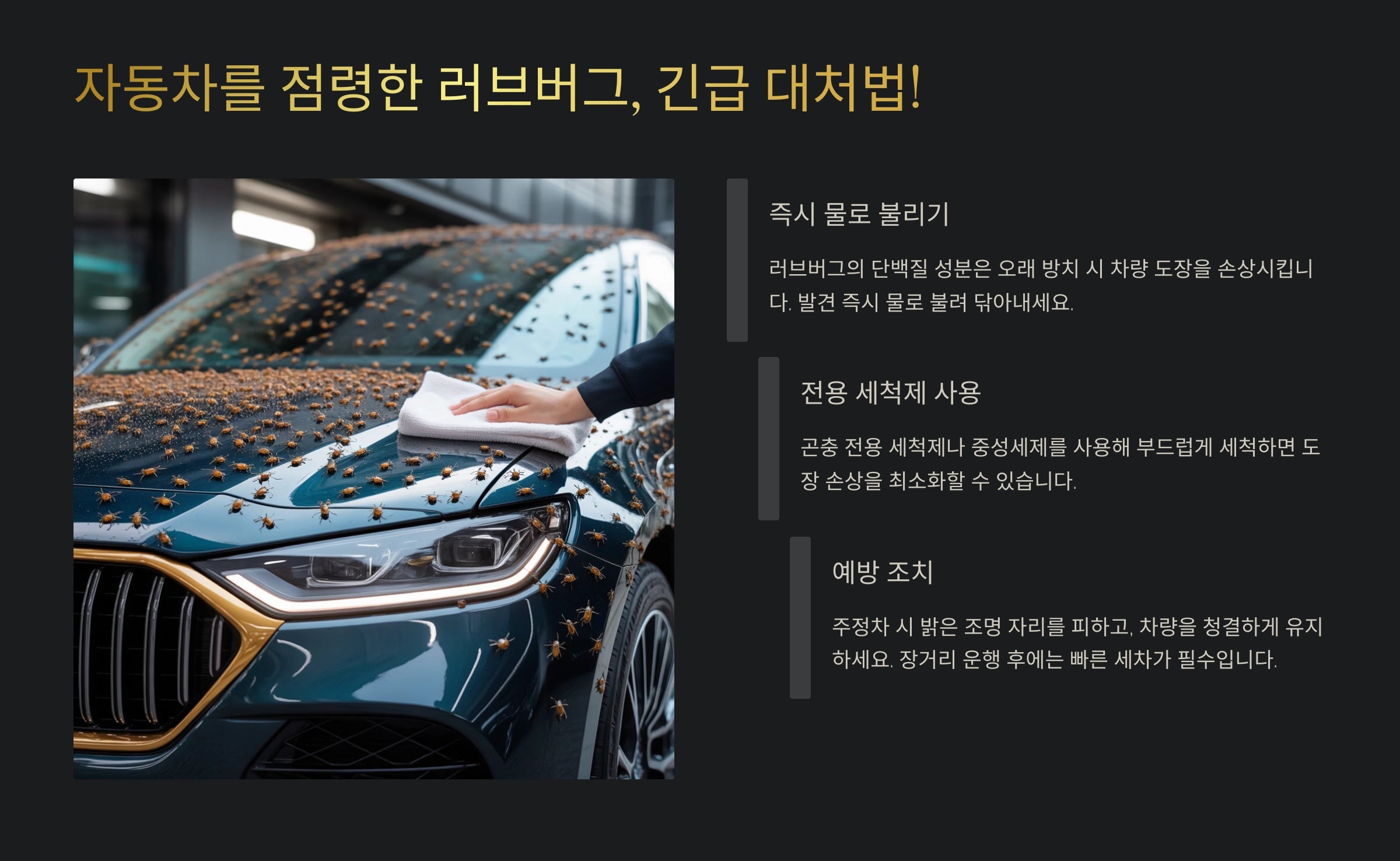 자동차를 점령한 러브버그, 긴급 대처법!