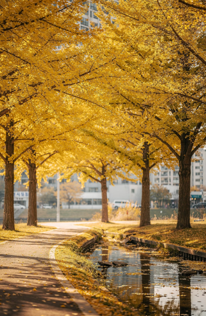 광주광역시 근교 산책·달리기·트레킹 명소 완벽 가이드 | 주말 액티비티 추천