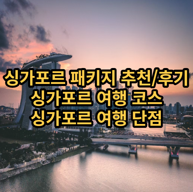 싱가포르 여행 단점