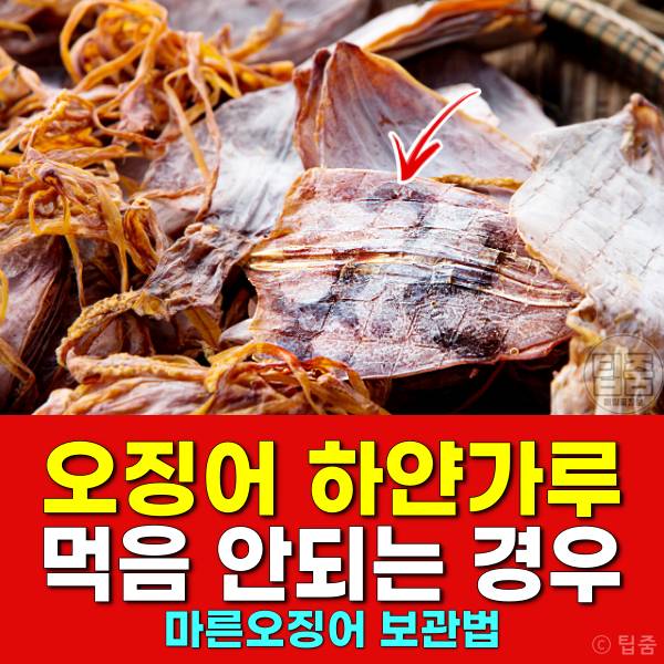 마른 오징어 하얀가루 곰팡이 마른오징어보관법