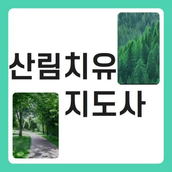 산림치유지도사 교육과정 프로그램기획 현장실습 취업처_13