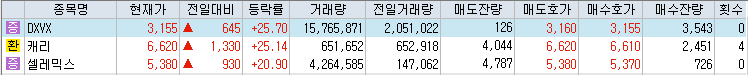 상승률-상위-종목-리스트-캡처-이미지