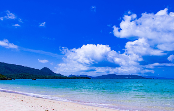 [1-2월 말레이시아 코타키나발루 쿠알라룸프루 여행준비물] 날씨/해외로밍