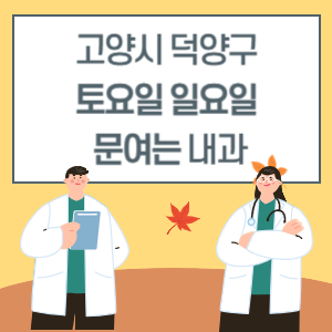 고양시 덕양구 토요일 일요일 내과 진료 문여는 병원 리스트