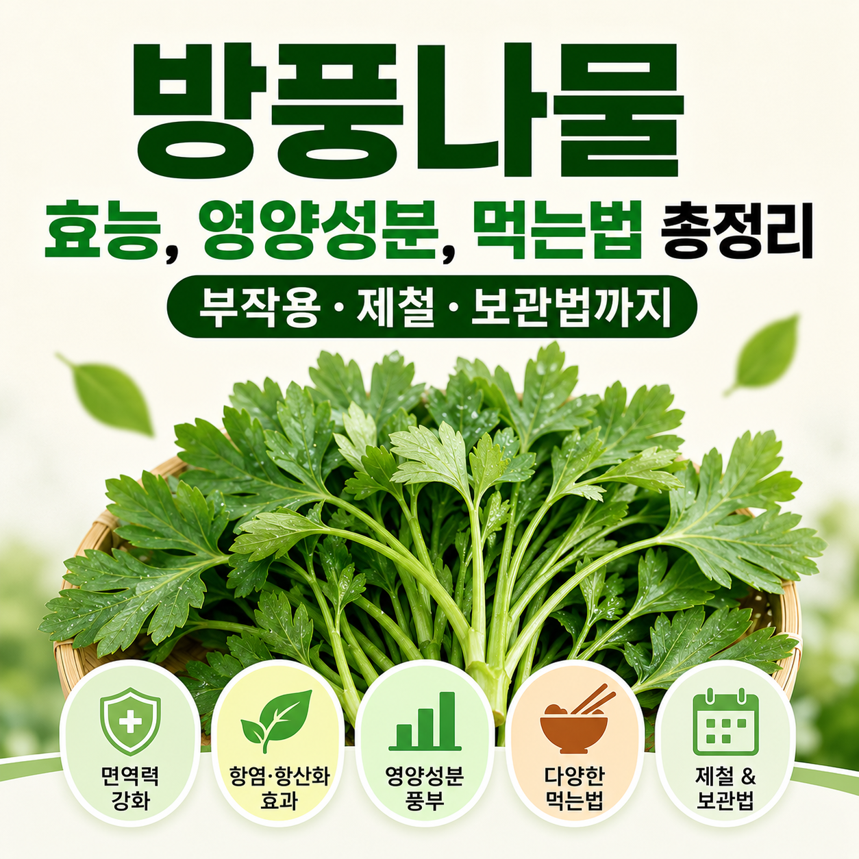 방풍나물 효능