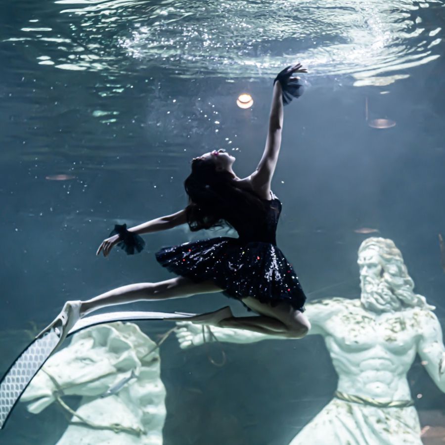 대전 엑스포 아쿠아리움