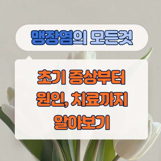 맹장염의 모듯 것