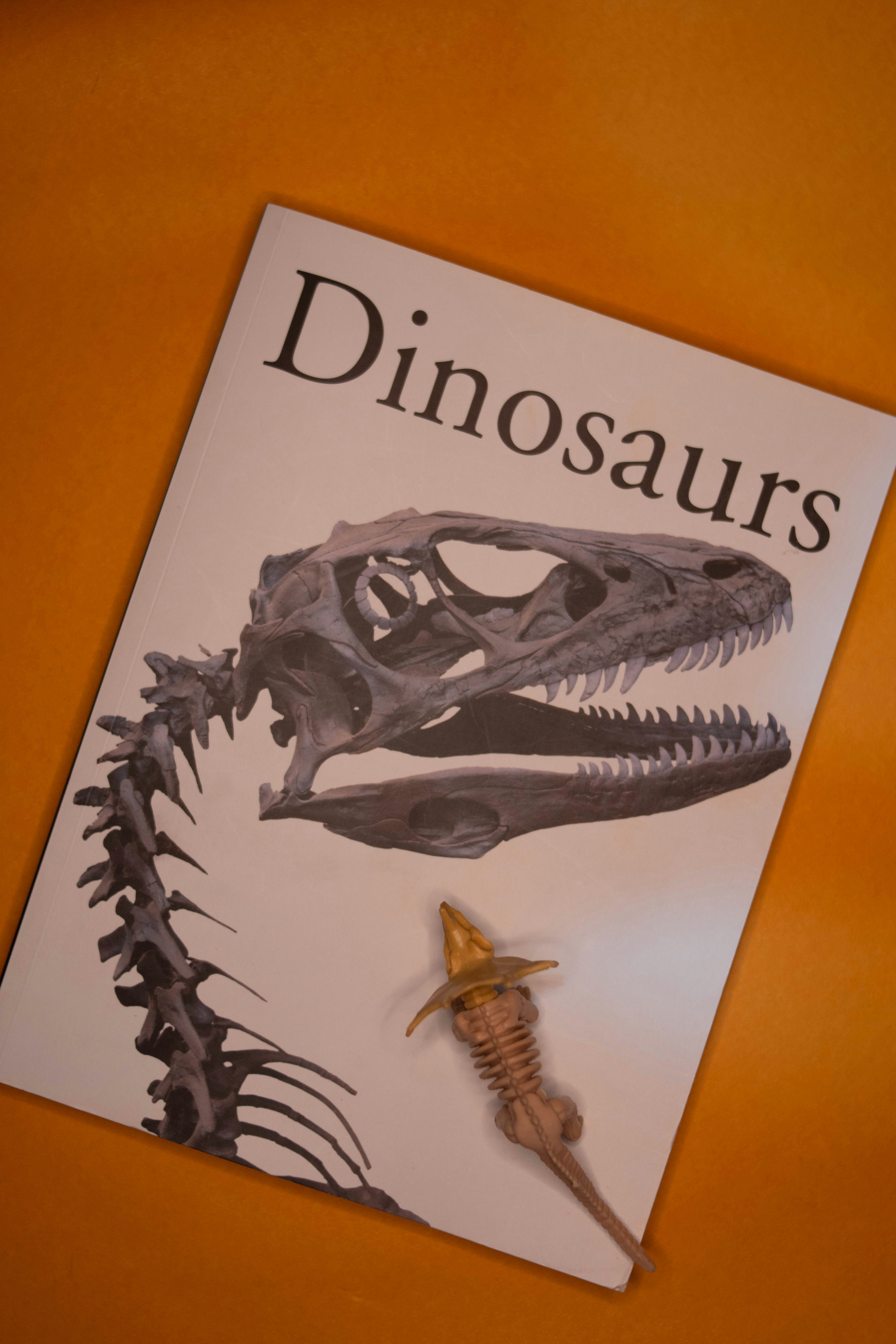 공룡책