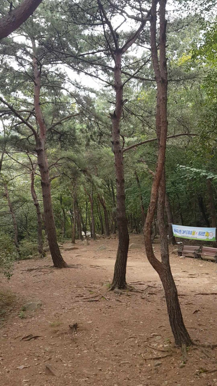 용현자연휴양림