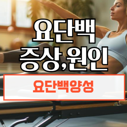 요단백양성증상원인