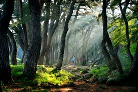 국립공원 예약통합시스템 바로가기