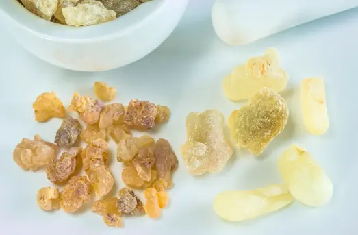 보스웰리아 효능 및 복용시 주의점