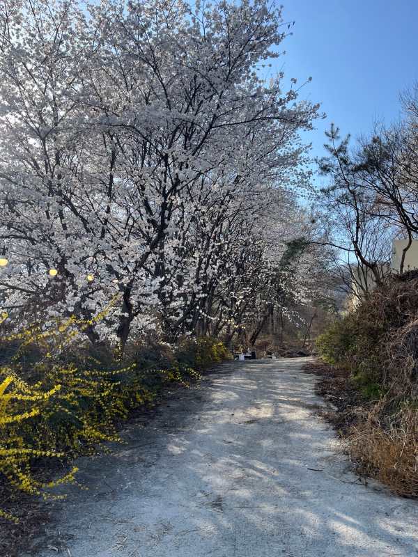 바베큐팩토리 유성점