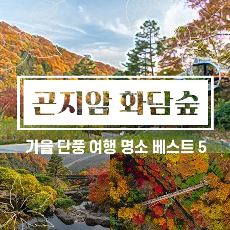 단풍 여행