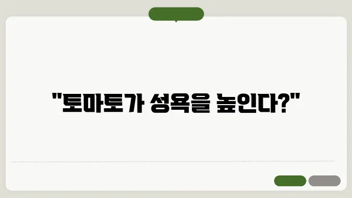 토마토 정력
