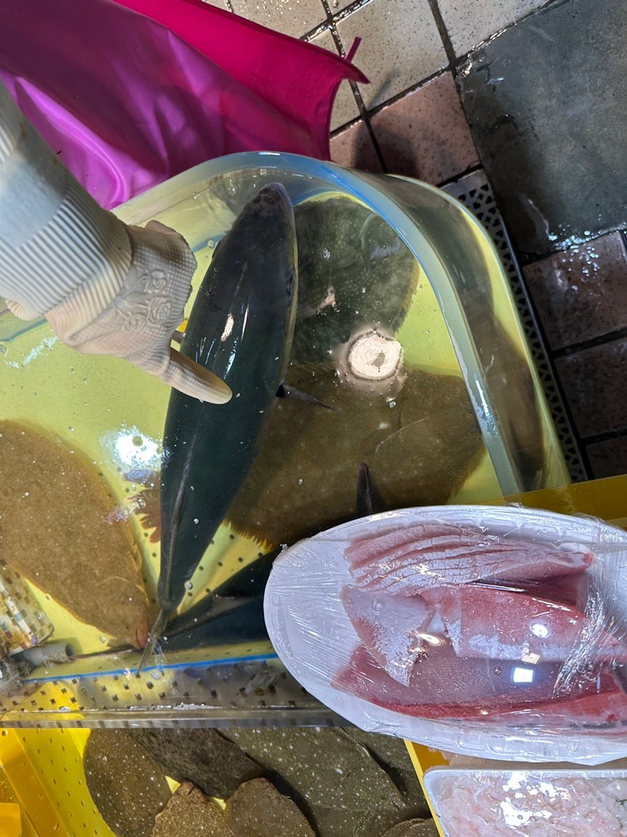 수산물 할인행사 및 대한민국 수산대전 총정리