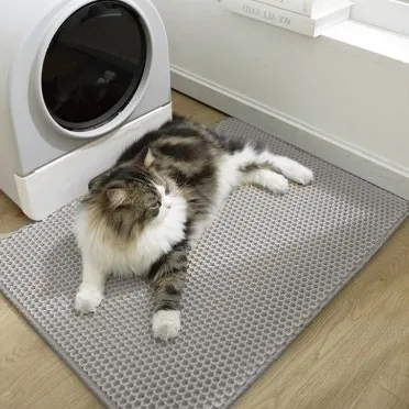 고양이 화장실 크기 대형 자동화장실 추천_4