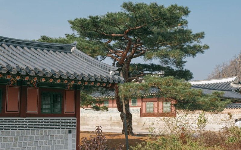 창덕궁 후원 산책 2025 예약 방법과 입장료&middot;추천 코스 총정리 - 시각