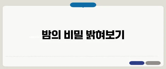 밤에 잠이 안오는 이유