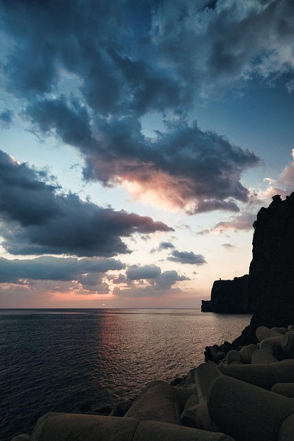 울릉도 독도 지도 한눈에 보기 위치·이동방법·거리까지 총정리