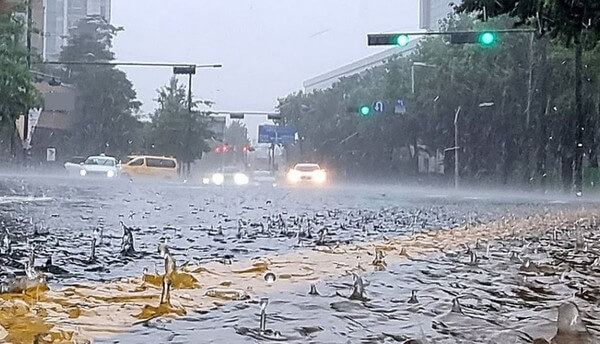 제습기 용량과 평수