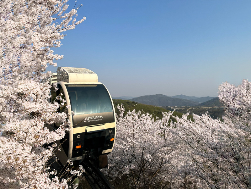 화담숲 모노레일 예약하러 가기