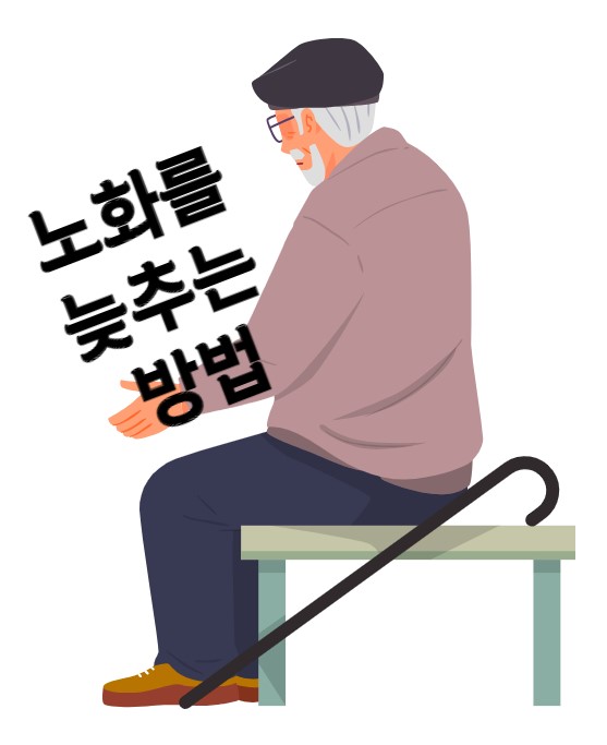 노화를늦추는방법썸네일