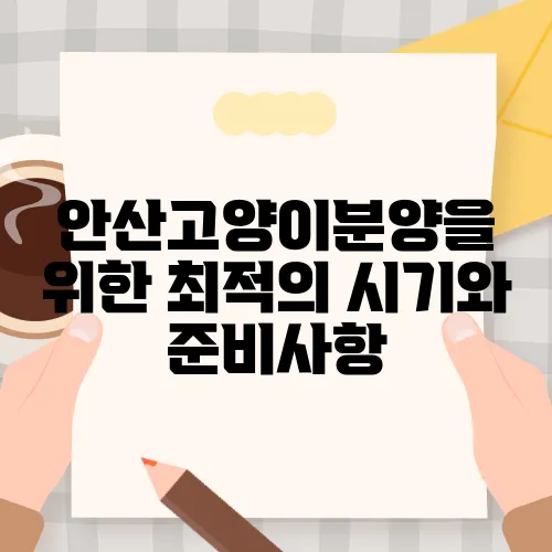 안산고양이분양을 위한 최적의 시기와 준비사항