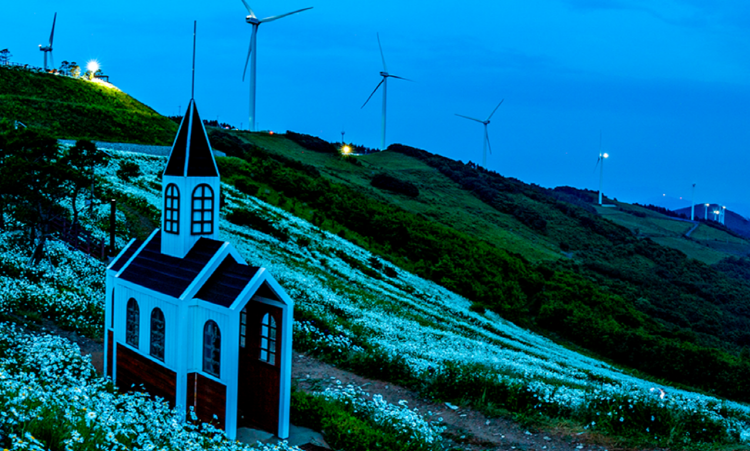 청옥산 육백마지기