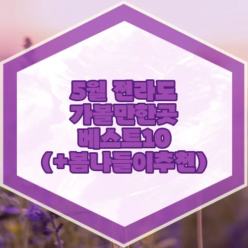 5월 전라도 가볼만한곳 베스트10 (+봄나들이추천)