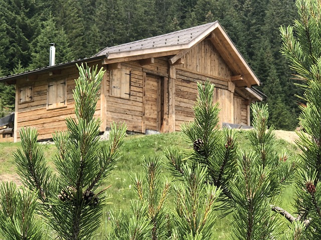 평창 대관령 숙소 추천 BEST 5