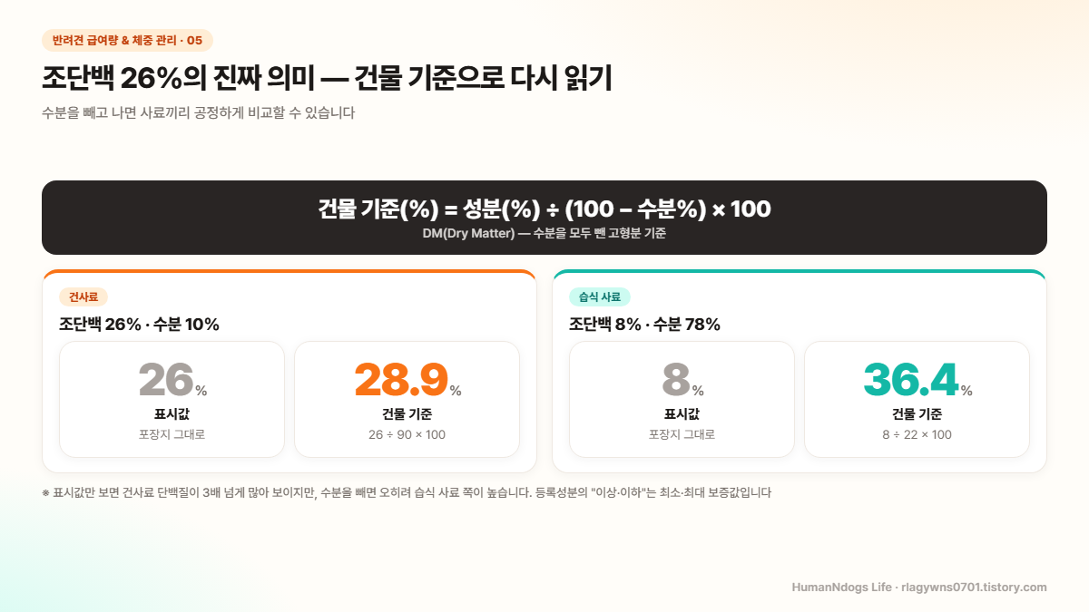 건물 기준 환산 공식과, 조단백 26% 수분 10% 건사료는 28.9%, 조단백 8% 수분 78% 습식 사료는 36.4%가 되는 비교 도식