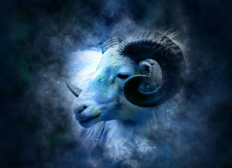 24년 양자리운세