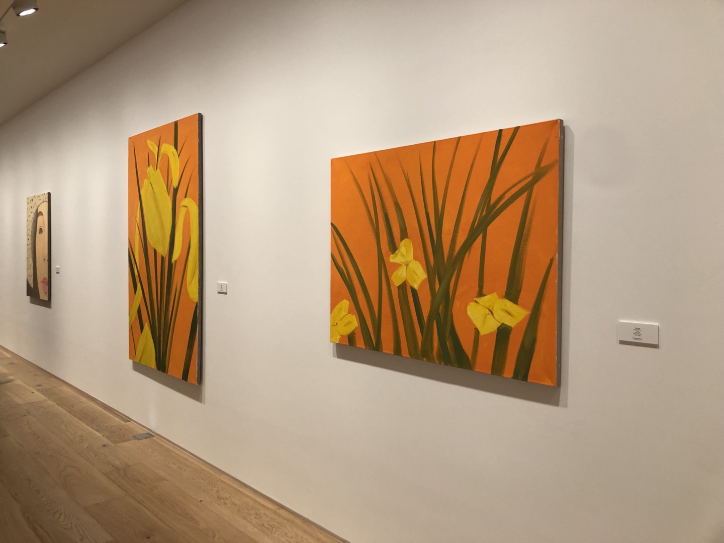 알렉스카츠-꽃그림들