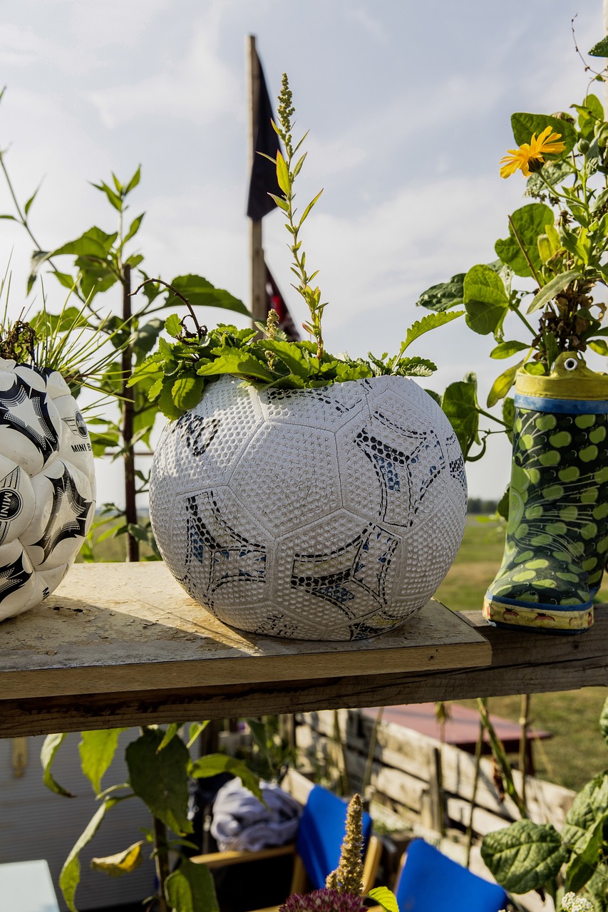 urban gardening 관련 사진