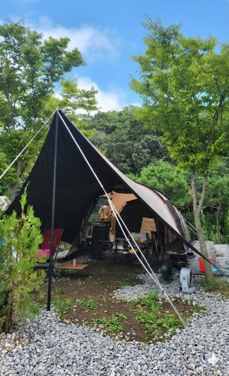 찜통 여름의 시원한 타프