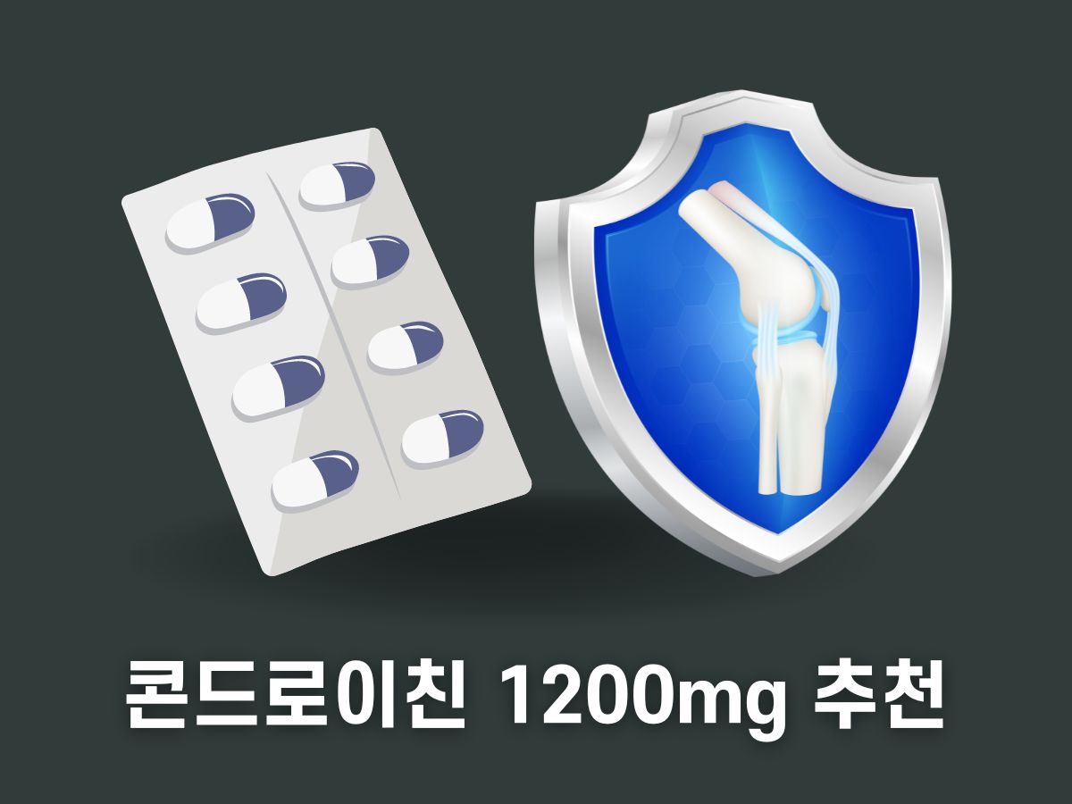 콘드로이친 1200mg추천