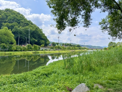 유구색동수국정원 수국축제