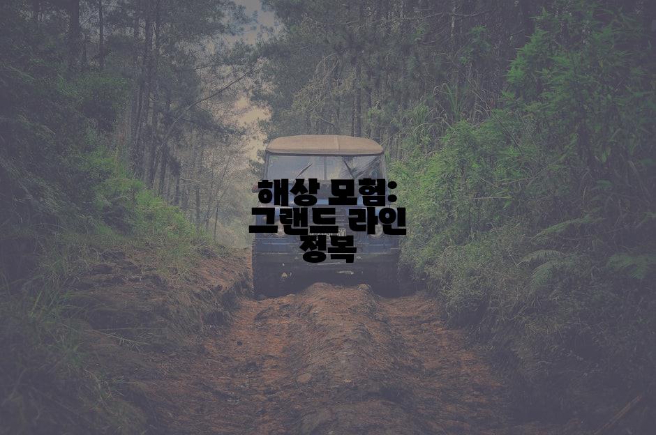 해상 모험: 그랜드 라인 정복