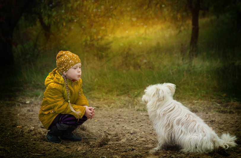 현대 사회에서 주목받는 심리학 트렌드