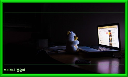 약물 부작용증세