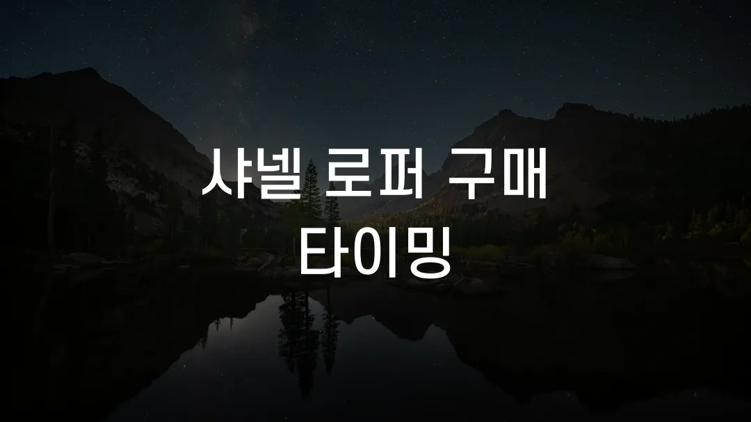 샤넬 로퍼 구매 타이밍