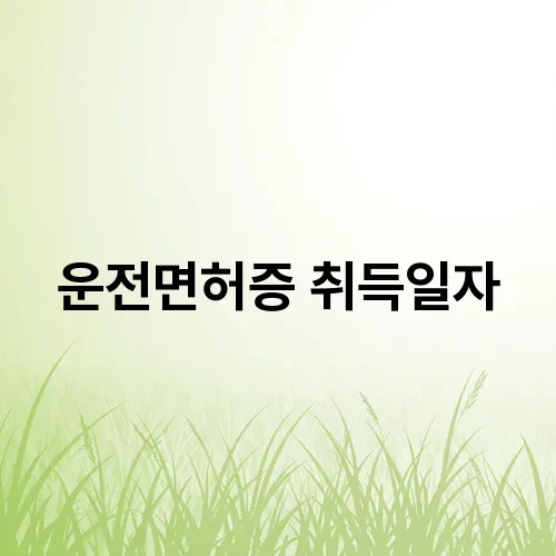 운전면허증 취득일자