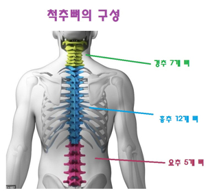 척추골절