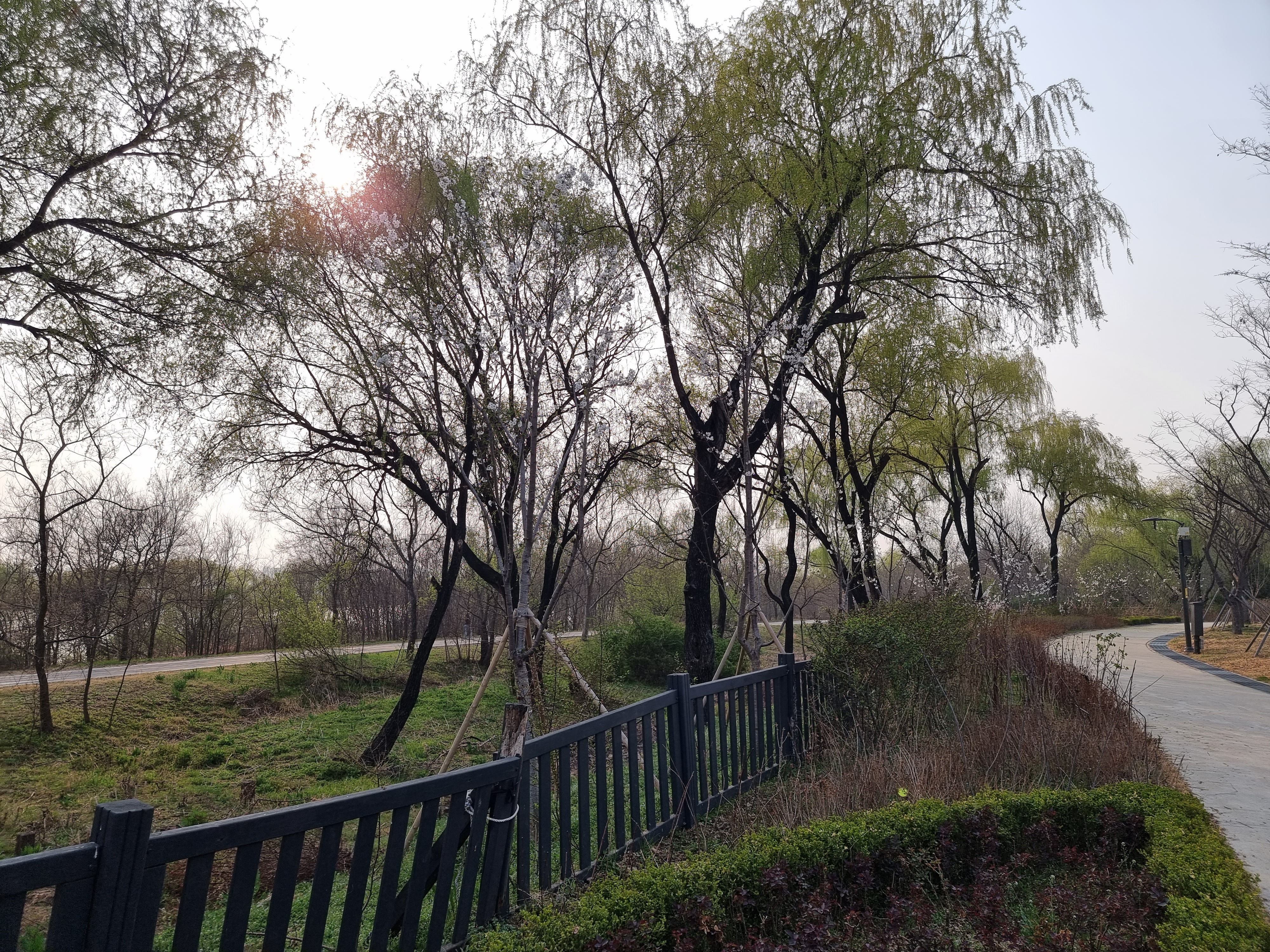 서울 난지캠핑장 산책