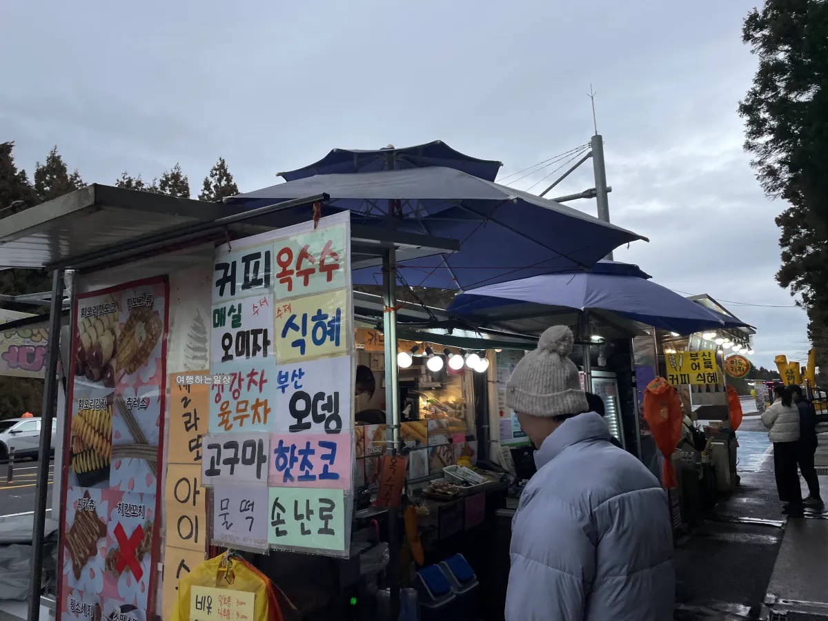 비오는날-제주-겨울에-가볼만한곳-사려니숲-무장애나눔길-위치-산책로-소요시간