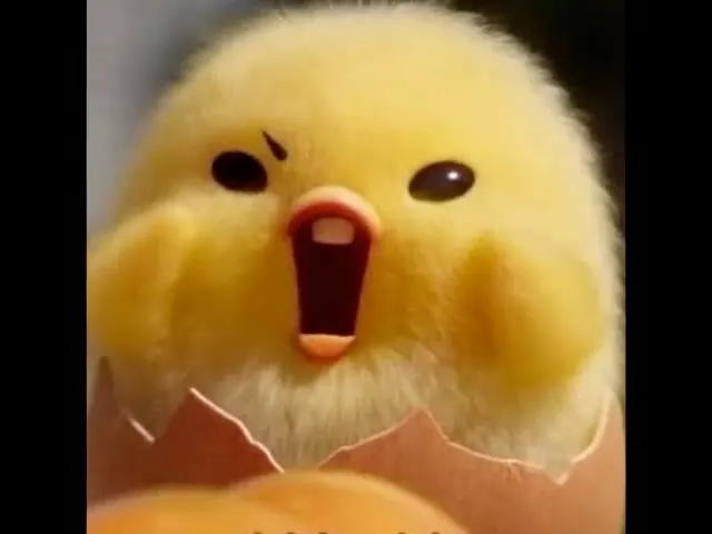 이다은_인스타그램_이미지