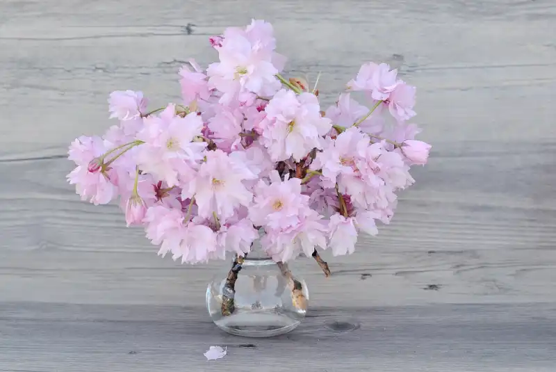 선물 받은 꽃 잘 보관하는 방법